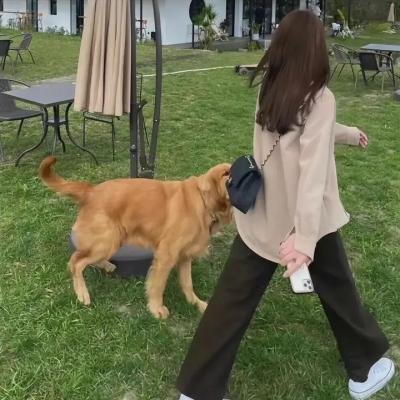 锦绣未央